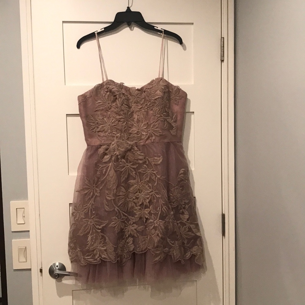 Adrianna Papell beautiful blush dress! NEVER WORN!